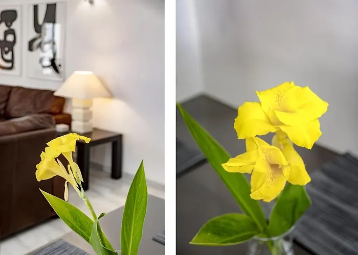 Lnm16- Comfortable Next To Puerto Banus *