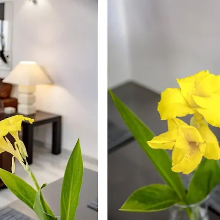 Apartment Lnm16- Comfortable Next To Puerto Banus *